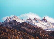 乐鱼官方网站最新版本下载-休赛期前景再度暗淡 曝考辛斯因伤或无缘揭幕战