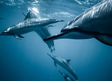 阿尔特塔引群嘲,他的荒唐数据究竟是怎么算出的?